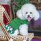 Show in main carousel: CuteBone Holiday Dog Christmas Sweater Dress, Green, X-Large slide 8 of 11