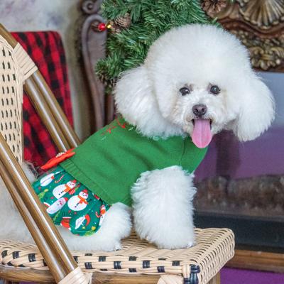 Show full view: CuteBone Holiday Dog Christmas Sweater Dress, Green, X-Large slide 8 of 11