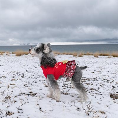 Show full view: CuteBone Holiday Dog Christmas Sweater Dress, Red, X-Small slide 8 of 10