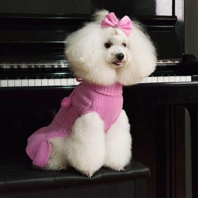 Show full view: CuteBone Solid Dog Sweater Dress, Pink, X-Small slide 4 of 9