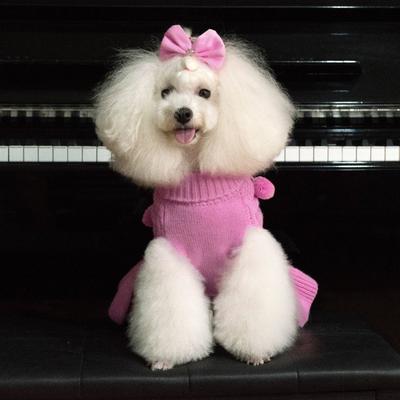 Show full view: CuteBone Solid Dog Sweater Dress, Pink, X-Small slide 2 of 9