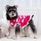 Show in main carousel: CuteBone Hearts Dog Sweater Dress, Red, X-Small slide 2 of 10