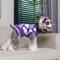 Show in main carousel: CuteBone Hearts Dog Sweater Dress, Purple, Small slide 2 of 9