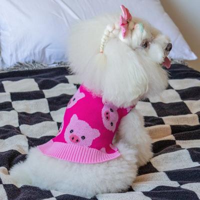 Show full view: CuteBone Pig Print Dog Sweater, Pink, X-Large slide 7 of 9