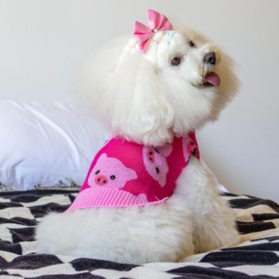 Show full view: CuteBone Pig Print Dog Sweater, Pink, X-Large slide 3 of 9