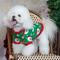 Show in main carousel: CuteBone Santa Claus Holiday Dog Sweater, Green, Large slide 3 of 10