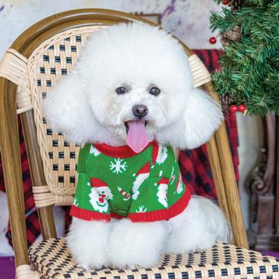 Show full view: CuteBone Santa Claus Holiday Dog Sweater, Green, Large slide 2 of 10