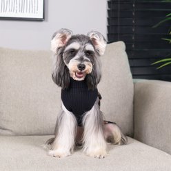 CuteBone Bears Print Dog Sweater, Black/Brown, X-Small slide 2 of 7
