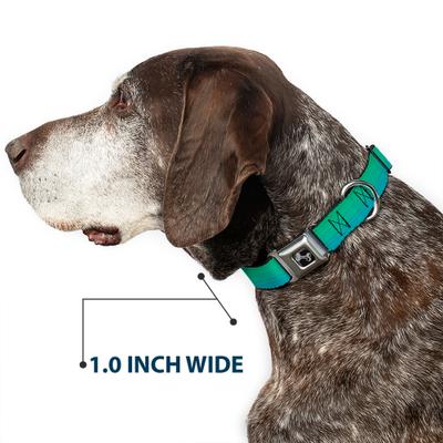 Show full view: Buckle-Down Ombre Dog Collar, Large: 20 to 31-in neck, 1.5-in wide slide 6 of 8