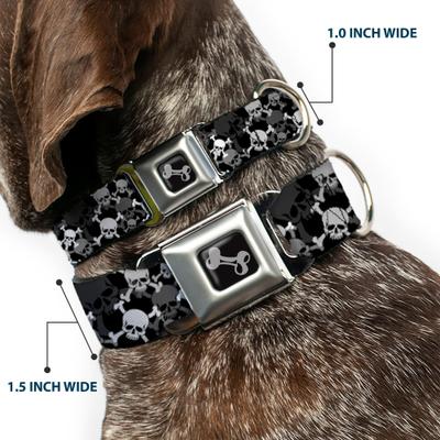Show full view: Buckle-Down Top Skulls Stacked Dog Collar, Large: 15 to 24-in neck, 1-in wide slide 3 of 9