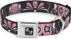 Buckle-Down Sugar Skulls Dog Collar, Medium: 16 to 23-in neck, 1.5-in wide