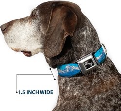 Buckle-Down Landscape Snowy Mountains Dog Collar, Small: 9.5 to 13-in neck, 1-in wide slide 2 of 8