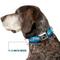 Show in main carousel: Buckle-Down Landscape Snowy Mountains Dog Collar, Medium: 16 to 23-in neck, 1.5-in wide slide 7 of 8