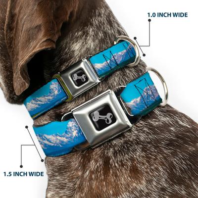 Show full view: Buckle-Down Landscape Snowy Mountains Dog Collar, Medium: 16 to 23-in neck, 1.5-in wide slide 2 of 8