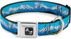 Buckle-Down Landscape Snowy Mountains Dog Collar, Medium: 16 to 23-in neck, 1.5-in wide