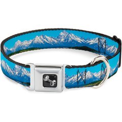 Buckle-Down Landscape Snowy Mountains Dog Collar, Small: 9.5 to 13-in neck, 1-in wide