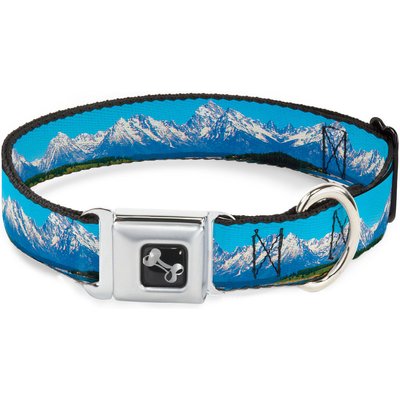 Buckle-Down Buckle-Down Landscape Snowy Mountains Dog Collar, Medium: 16 to 23-in neck, 1.5-in wide