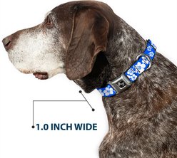 Buckle-Down Hibiscus Dog Collar, Medium: 11 to 16.5-in neck, 1-in wide slide 2 of 8