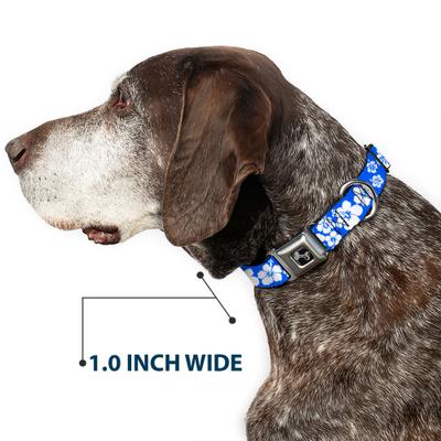 Show full view: Buckle-Down Hibiscus Dog Collar, Small: 13 to 17-in neck, 1.5-in wide slide 6 of 8