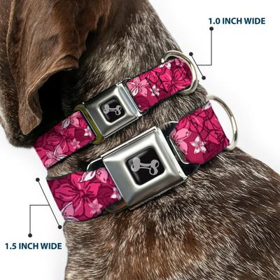 Show full view: Buckle-Down Hibiscus Collage Dog Collar, Large: 15 to 24-in neck, 1-in wide slide 2 of 8
