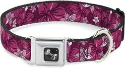Buckle-Down Hibiscus Collage Dog Collar, Large: 15 to 24-in neck, 1-in wide