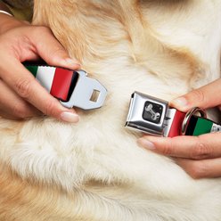 Buckle-Down Italy Flags Dog Collar, Medium: 16 to 23-in neck, 1.5-in wide slide 2 of 8