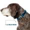 Show in main carousel: Buckle-Down Galaxy Blues Dog Collar, Medium: 16 to 23-in neck, 1.5-in wide slide 6 of 8