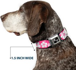Buckle-Down Hibiscus Neon Dog Collar, Large: 20 to 31-in neck, 1.5-in wide slide 2 of 8