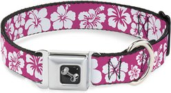 Buckle-Down Hibiscus Neon Dog Collar, Small: 13 to 17-in neck, 1.5-in wide