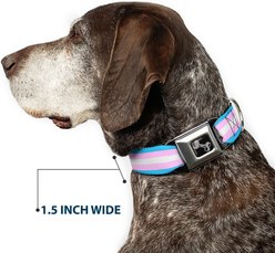 Buckle-Down Flag Transgender Dog Collar, Small: 13 to 17-in neck, 1.5-in wide slide 2 of 8