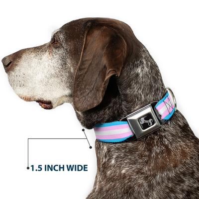 Show full view: Buckle-Down Flag Transgender Dog Collar, Small: 13 to 17-in neck, 1.5-in wide slide 7 of 8