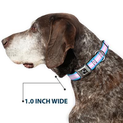 Show full view: Buckle-Down Flag Transgender Dog Collar, Small: 13 to 17-in neck, 1.5-in wide slide 6 of 8