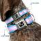 Show in main carousel: Buckle-Down Flag Transgender Dog Collar, Small: 13 to 17-in neck, 1.5-in wide slide 2 of 8