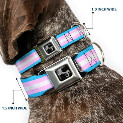 Show full view: Buckle-Down Flag Transgender Dog Collar, Small: 13 to 17-in neck, 1.5-in wide slide 2 of 8