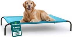 FurHaven Elevated Dog & Cat Bed, Capri Blue, X-Large