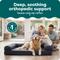 Show in main carousel: FurHaven Quilted Orthopedic Sofa Cat & Dog Bed with Removable Cover, Iron Gray, Jumbo slide 2 of 10