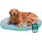Show in main carousel: FurHaven Trail Pup Packable Stuff Sack Travel Pillow Dog Bed, Aqua & Granite Gray, Large slide 1 of 10