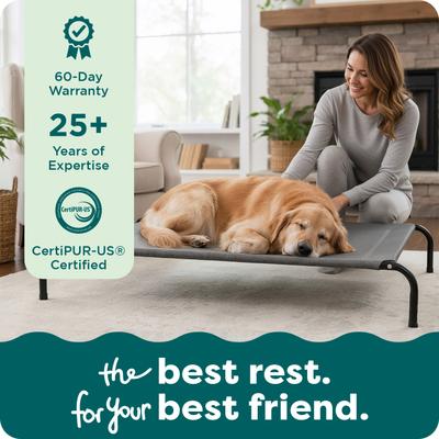 Show full view: FurHaven Elevated Dog & Cat Bed, Capri Blue, X-Large slide 8 of 9