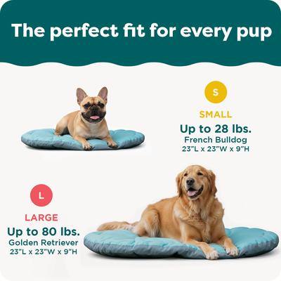 Show full view: FurHaven Trail Pup Packable Stuff Sack Travel Pillow Dog Bed, Aqua & Granite Gray, Large slide 6 of 10