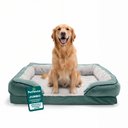 FurHaven Velvet Waves Perfect Comfort Orthopedic Sofa Cat & Dog Bed with Removable Cover, Celadon Green, Jumbo