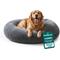Show in main carousel: FurHaven Plush Ball Pillow Dog Bed with Removable Cover, Gray Mist, X-Large slide 1 of 12