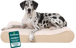 FurHaven Ultra Plush Luxe Lounger Orthopedic Cat & Dog Bed with Removable Cover, Cream, Jumbo Plus