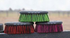 Tail Tamer by Professional's Choice Soft Poly Horse Brush, Assorted, Large