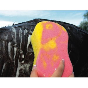 Tail Tamer by Professional's Choice Tie-Dye Horse Sponge, Multi