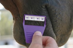 Tail Tamer by Professional's Choice Horse Clipper, Purple slide 2 of 2