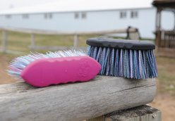 Tail Tamer by Professional's Choice Flick Horse Brush, Assorted, Small