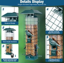 Yarty Squirrel Proof Wild Bird Feeder, 3-lb, Green slide 2 of 9