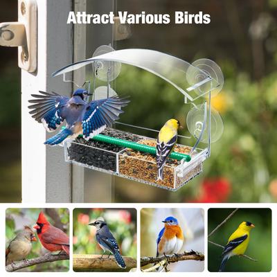 Show full view: Yarty Outdoor Transparent Acrylic Window Wild Bird Feeder slide 8 of 9