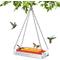 Show in main carousel: Kingsyard Dual-Use Outdoors Hanging & Window Installation Wild Bird Feeder, Clear, 1.62-lb slide 1 of 9