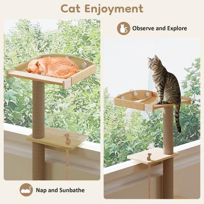 Show full view: Yafylly Sunbathing & Observation 49.2-in Cat Window Perch Tree with Resting Platform, Natural, Large slide 4 of 9